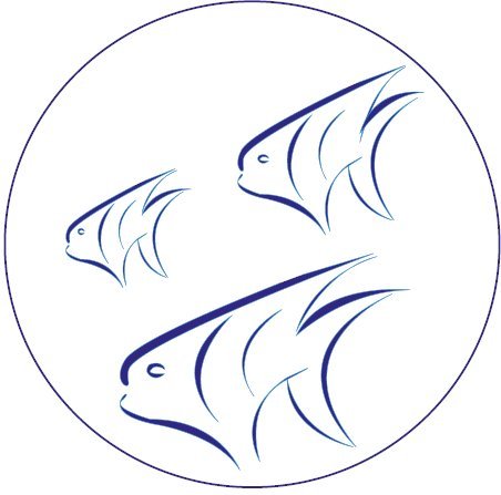Logo CRESSMA